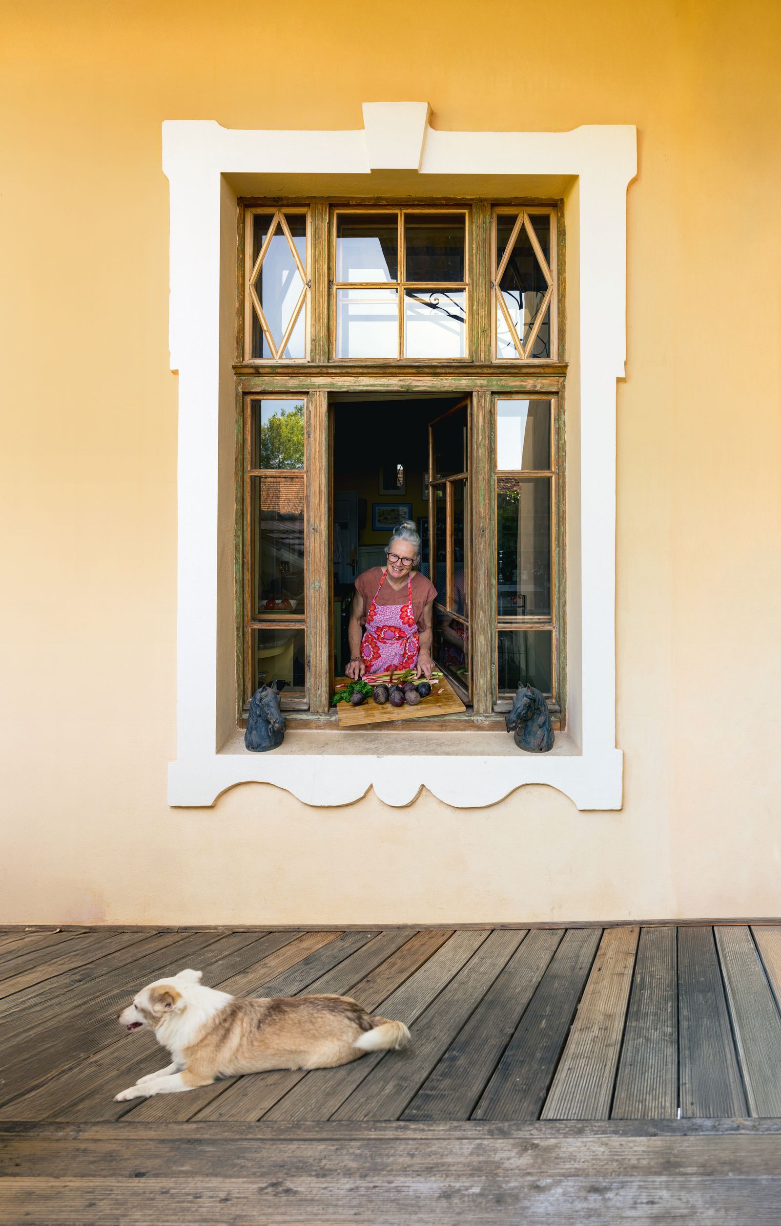 Image may contain Window Baby Person Animal Canine Dog Mammal Pet Face Head and Windowsill