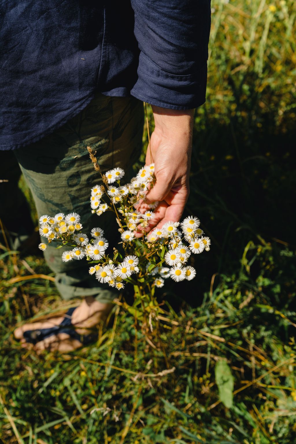 Image may contain Daisy Flower Plant Herbal Herbs Clothing Pants Vegetation Anemone Petal Body Part and Hand