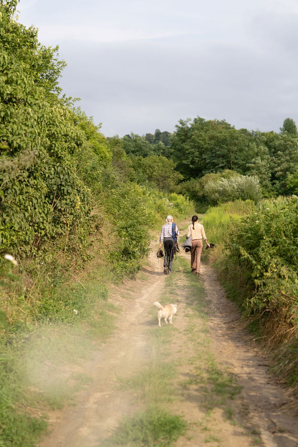 Image may contain Person Walking Path Plant Vegetation Adventure Hiking Leisure Activities Nature and Outdoors