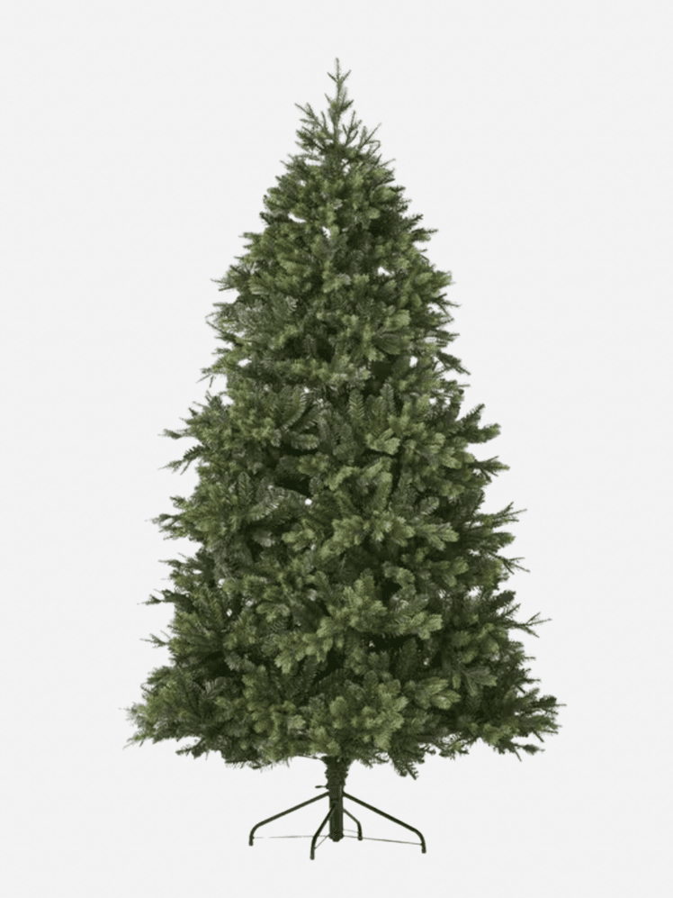 Image may contain: Plant, Tree, Pine, Fir, Conifer, Christmas, Christmas Decorations, and Festival