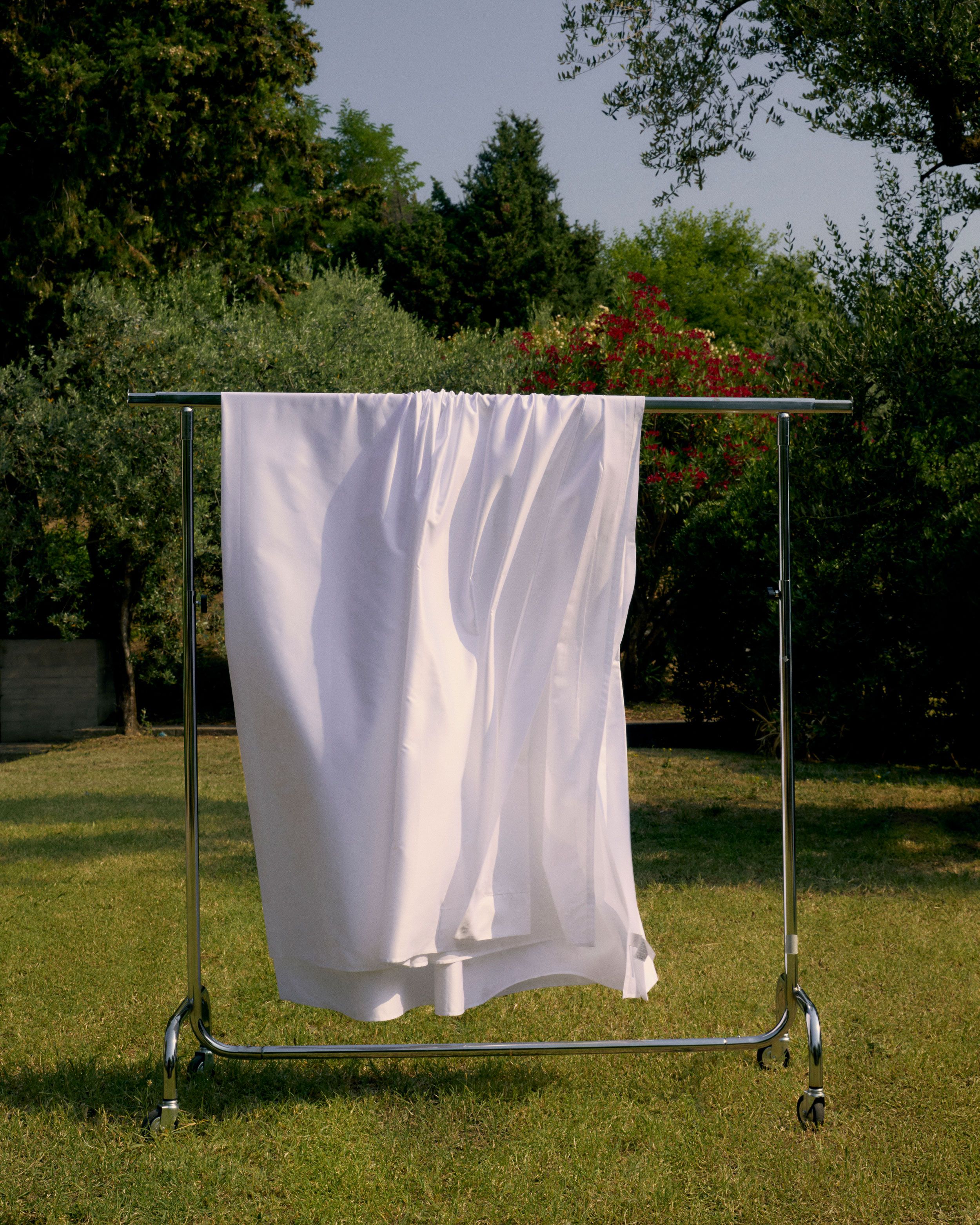 Image may contain: Grass, Plant, and Lawn