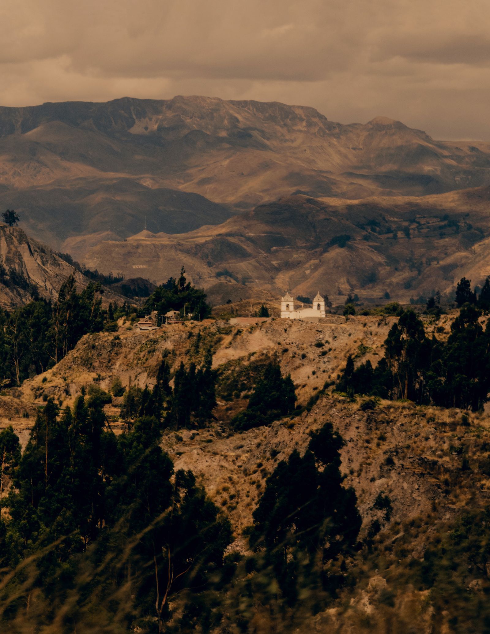 Image may contain Nature Outdoors Wilderness Plant Vegetation Tree Mountain Mountain Range Peak Land and Woodland