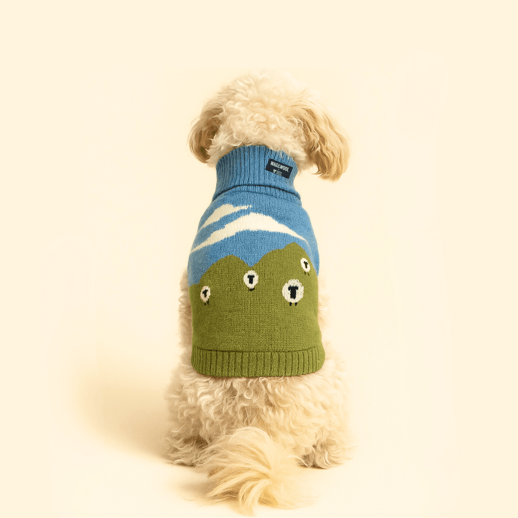 Image may contain Clothing Knitwear Sweater Hat Cap Animal Canine Dog Mammal and Pet