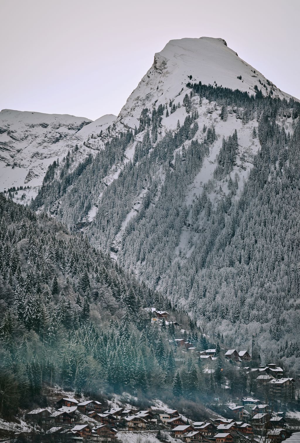 Image may contain Plant Tree Land Nature Outdoors Vegetation Woodland Mountain Mountain Range Peak Fir and Ice