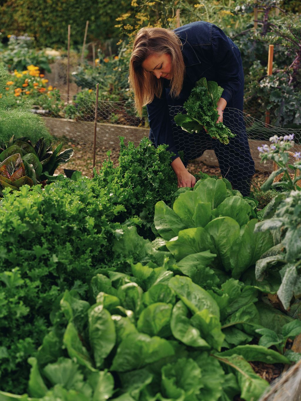 Image may contain Garden Nature Outdoors Gardening Adult Person Food Leafy Green Vegetable Plant and Produce