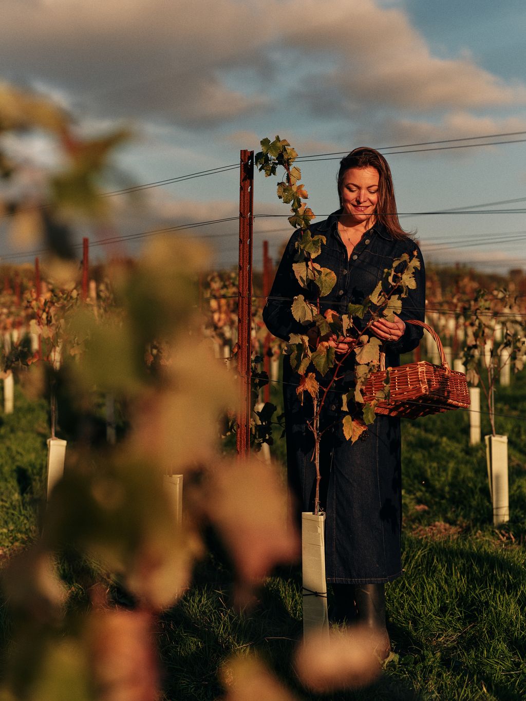 Image may contain Sara Stewart Outdoors Nature Countryside Adult Person Rural Farm Vineyard Face Head and Alcohol