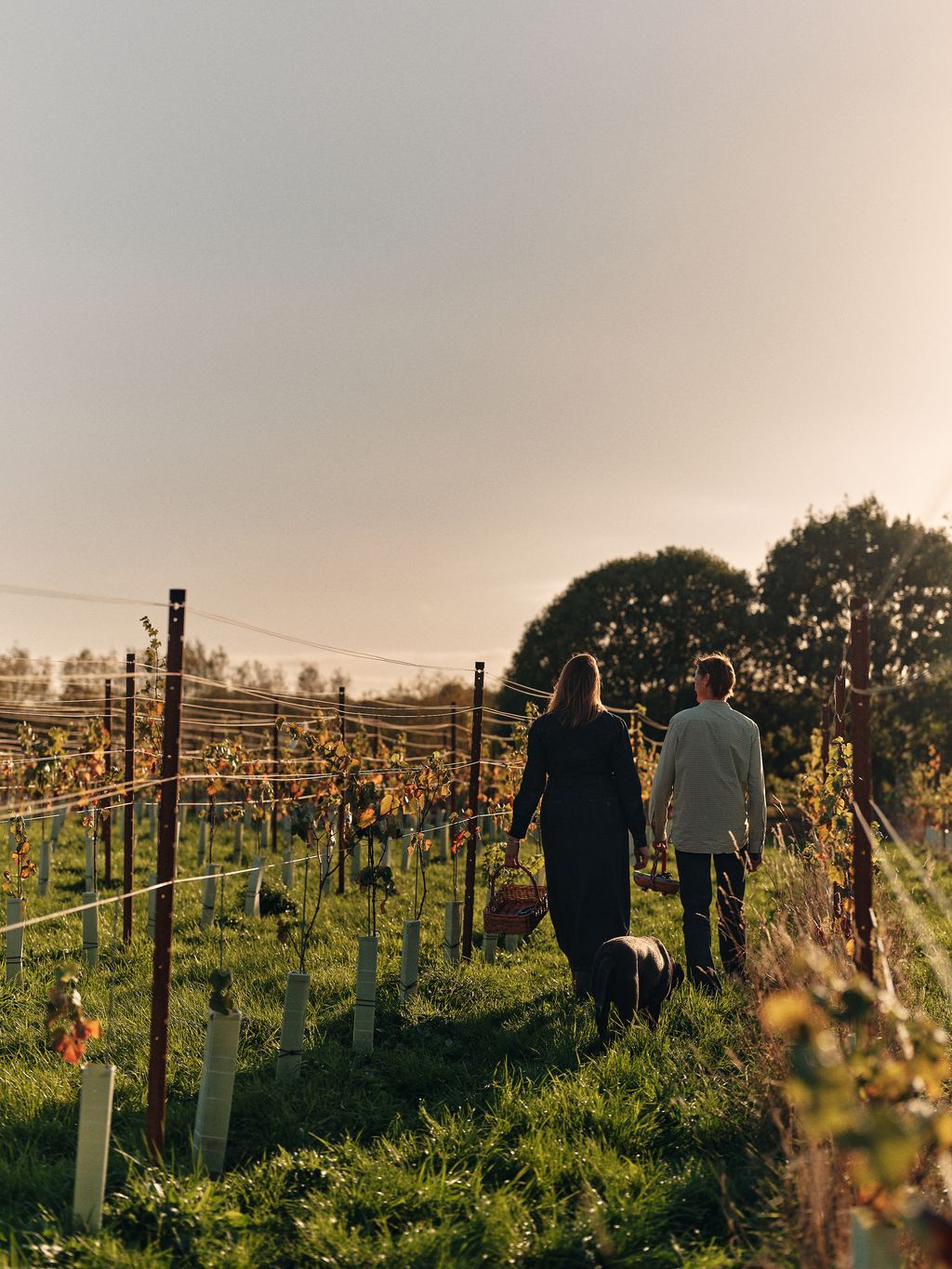 Image may contain Outdoors Adult Person Nature Countryside Graveyard Clothing Coat Rural Farm and Vineyard