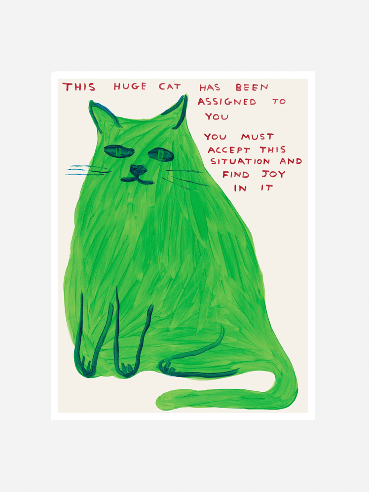 Image may contain: Bag, Plastic, Animal, Cat, Mammal, Pet, and Plastic Bag