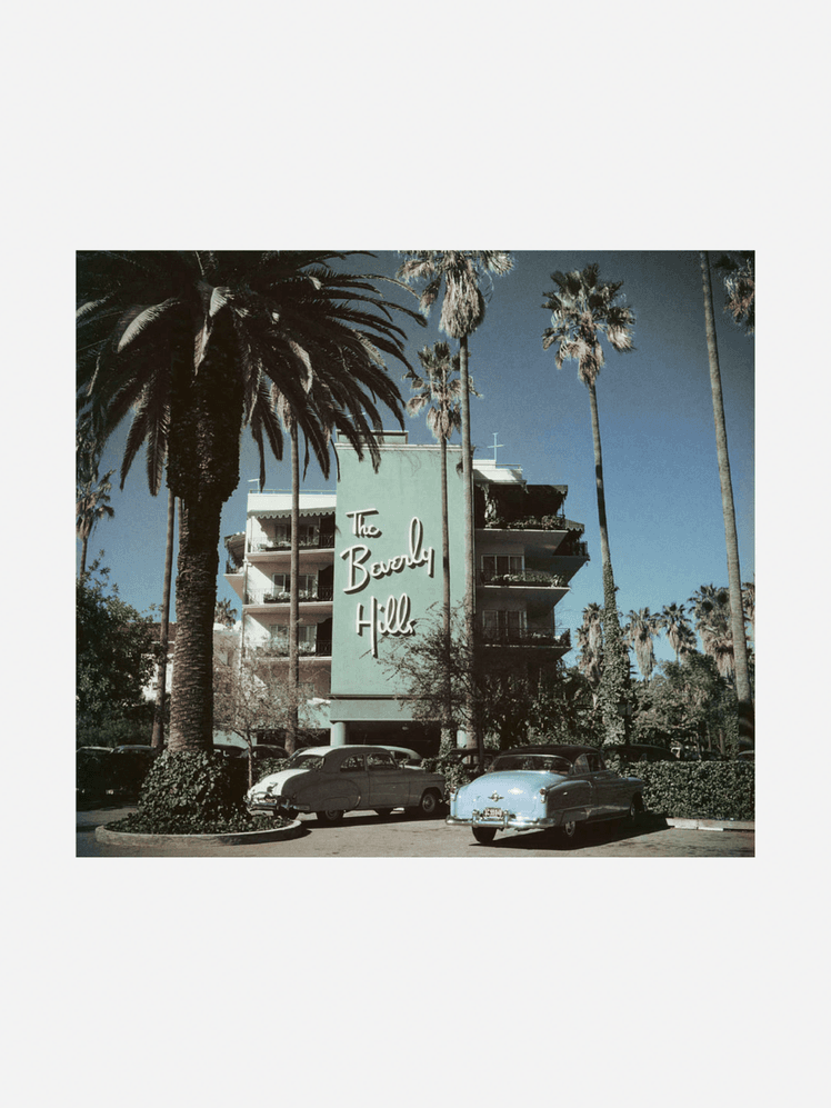 Image may contain: Palm Tree, Plant, Tree, Summer, Alloy Wheel, Car, Car Wheel, Machine, Spoke, Tire, and Transportation