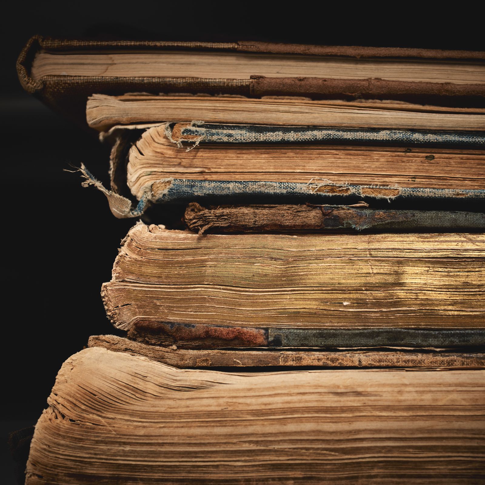 Image may contain Publication and Home Damage